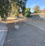 Dog Park Gopher City Dog Park El Cajon