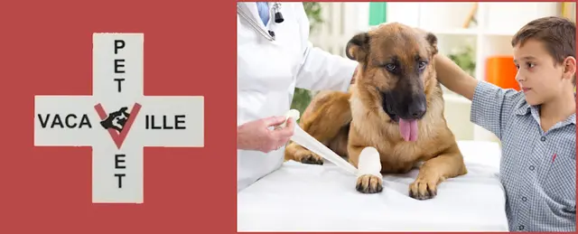 Pet vet Vacaville Pet Vet Clinic, Inc. Fairfield