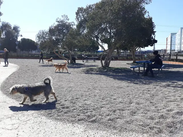 Dog Park Mission Creek Dog Park Oakland