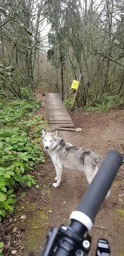 Dog Park Tapeworm MTB Trails Renton