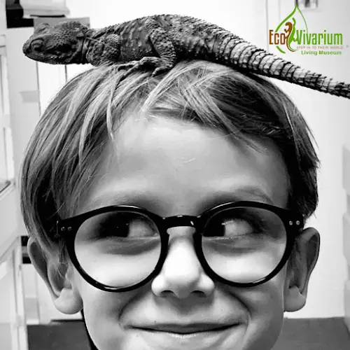 Rescue & Shelter EcoVivarium Escondido