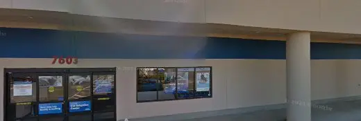 Rescue & Shelter PetSmart Dog Training Vancouver