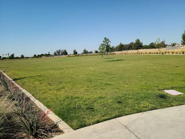 Dog Park Wooten Park Clovis