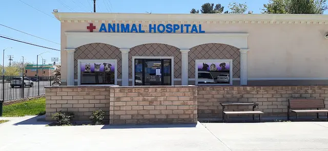 Pet vet Smith Veterinary Hospital Lancaster