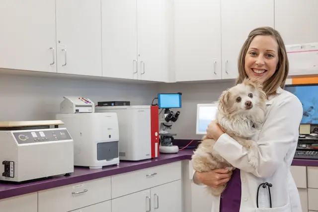Dog day care center Wagly Veterinary Hospital & Pet Campus | RSM Temecula