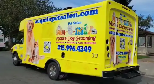 Dog Grooming AUQMIA Pet Salon & Mobile Dog Grooming San Mateo