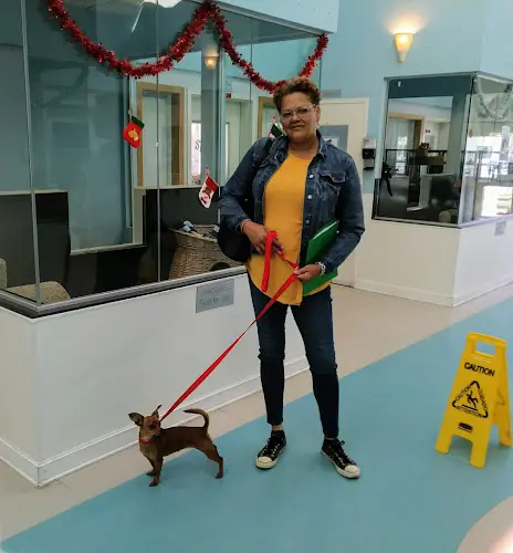 Dog day care center Long Beach Animal Care Services Long Beach