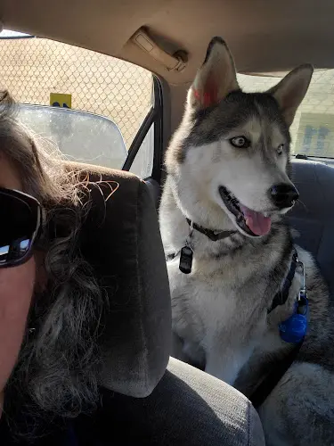 Pet vet Rialto Animal Hospital: Juarez Shannon DVM Fontana