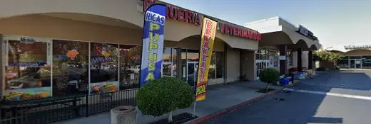 Pet vet Animal Medical Center-Livermore: Bains H S DVM Livermore