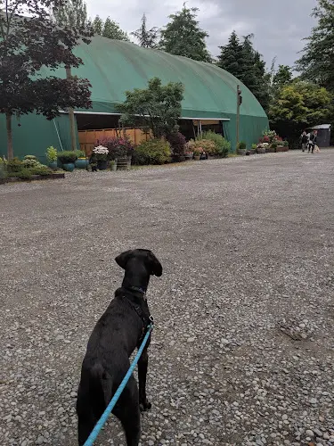 Dog trainer Seattle Agility Center Seattle