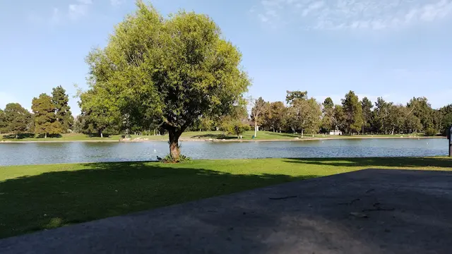 Dog Park Duck Park Long Beach