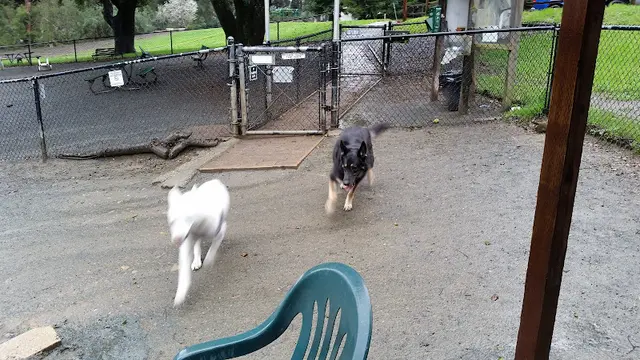 Dog Park Earl Warren Dog Park Oakland