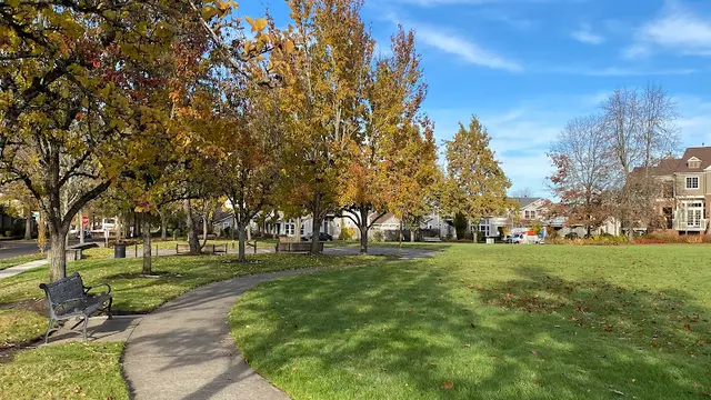 Dog Park Rosebay Park Hillsboro