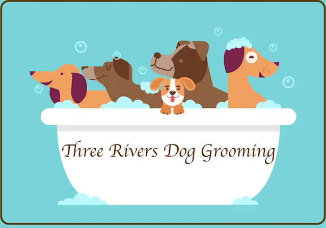 Dog Grooming Three Rivers Dog Grooming Bend
