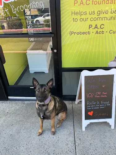 Pet boarding service Sydnee's pet grooming Escondido