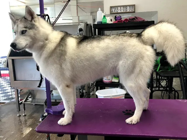 Pet boarding service Saddle Rock Pet Services Yakima