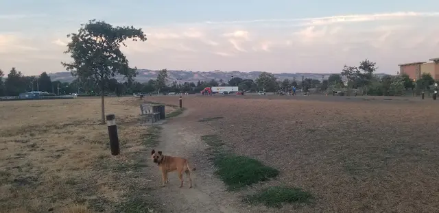 Dog Park Deer Creek Village Dog Park Santa Rosa