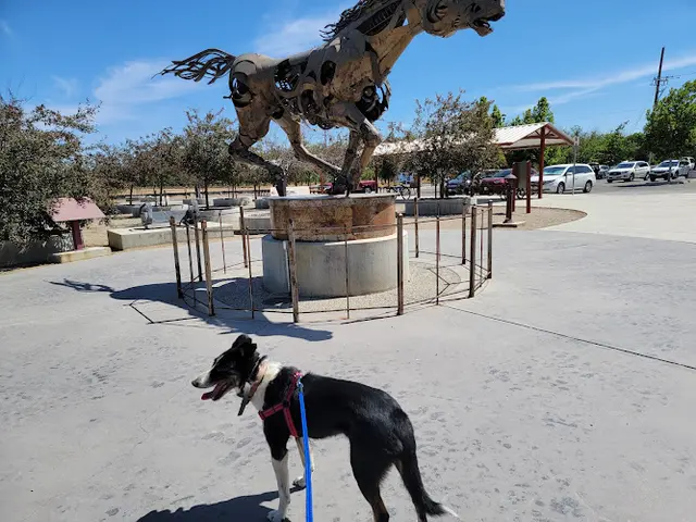 Dog Park Dry Creek Trailhead Clovis