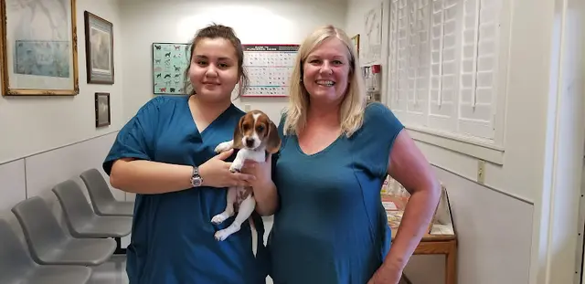 Pet vet Waterhouse Animal Hospital of Clovis Fresno