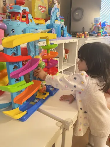 Dog day care center Happy Palm Daycare Centre Irvine