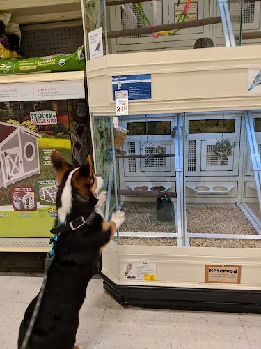 Pet vet PetSmart Bellingham