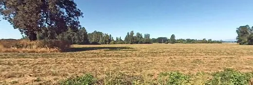 Rescue & Shelter Fences For Fido Portland