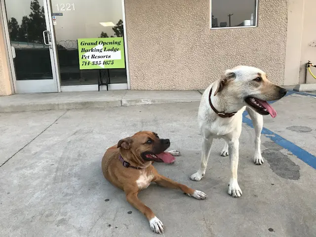 Pet vet Barking Lodge Pet Resorts Fullerton