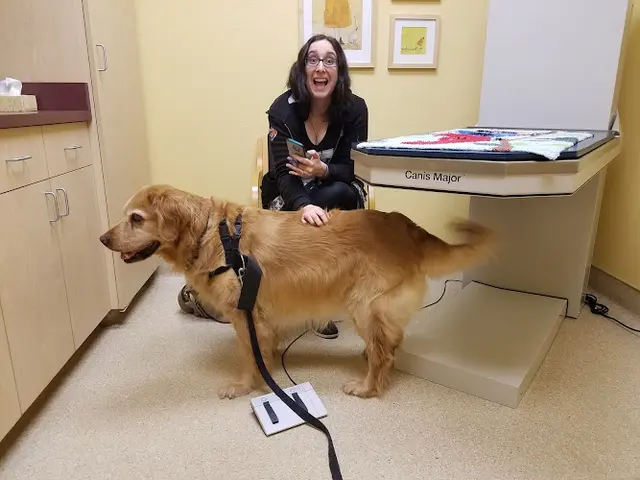 Pet vet Animal Vision Center Sacramento