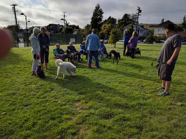 Dog Park Willard Park Berkeley