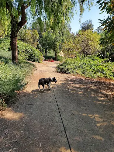 Dog Park Mission Oaks Park Ventura
