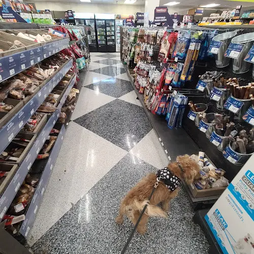 Pet vet Petco Burbank