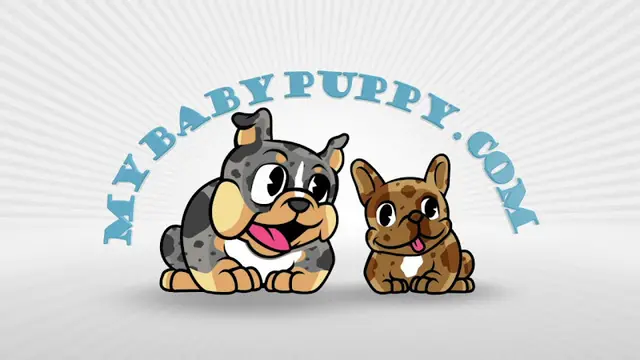 Dog breeder MyBabyPuppy.com San Diego