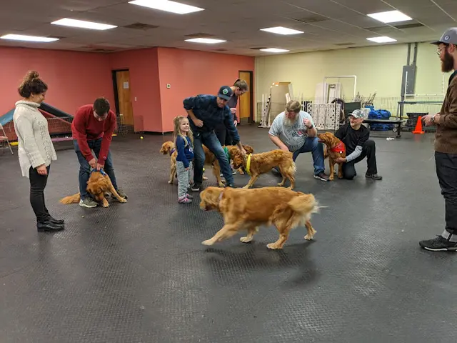 Dog day care center Pup-A-Razzi Hillsboro