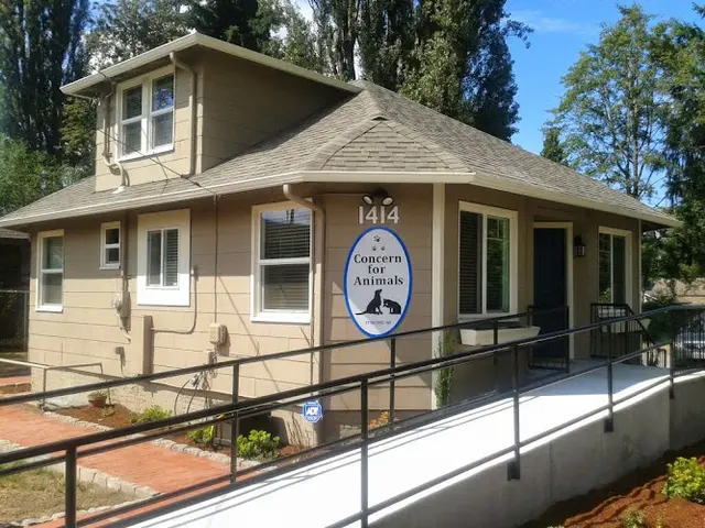 Rescue & Shelter Concern For Animals Kirkland