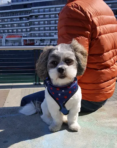 Pet boarding service Happy Tails to You Kennel, LLC Gresham