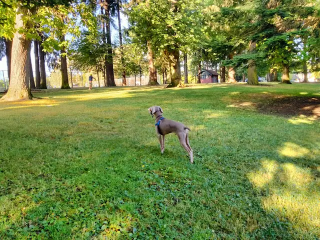 Dog Park Grant Park Portland