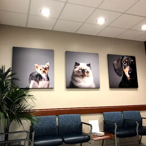 Pet vet VCA Animal Specialty Group San Diego