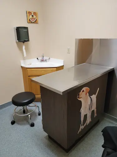 Pet vet 101 Pet Vet Ventura