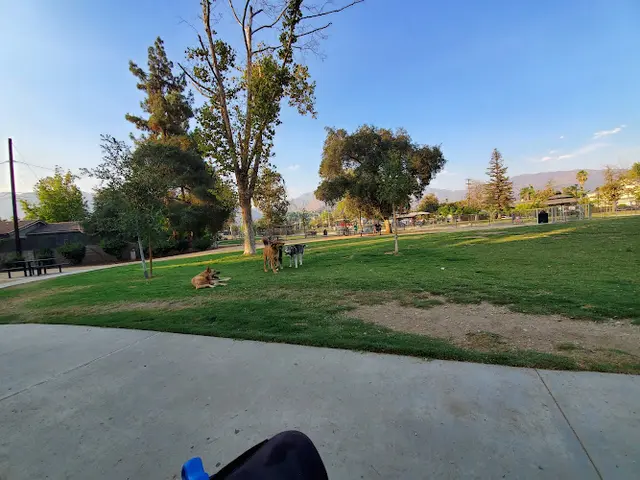 Dog Park Dog park Inglewood