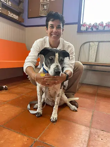 Rescue & Shelter H.A.L.O. No-Kill Rescue Shelter Daly City