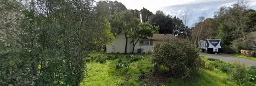 Rescue & Shelter Napa Wildlife Rescue Vallejo