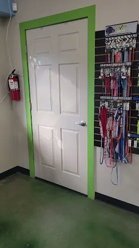 Dog day care center All Access Doggy Daycare and More Kent