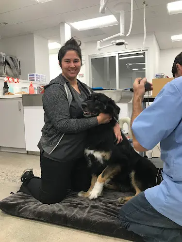 Pet boarding service East & West Animal Hospital San Marcos
