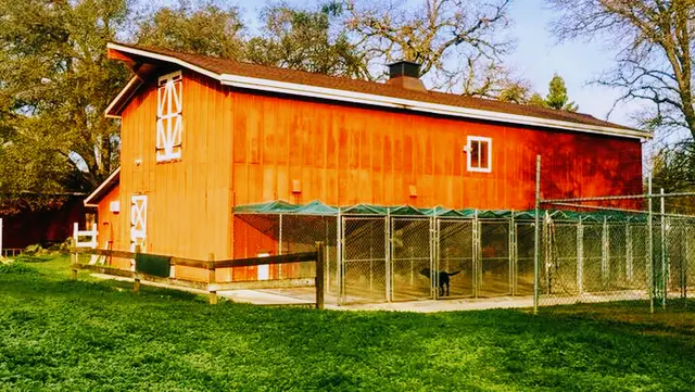 Pet boarding service Red Barn Boarding Roseville