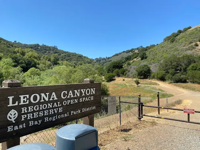 Dog Park Leona Trailhead Oakland