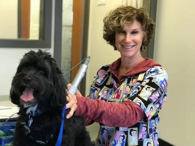 Pet vet Go Dog Go Canine Rehab Kirkland