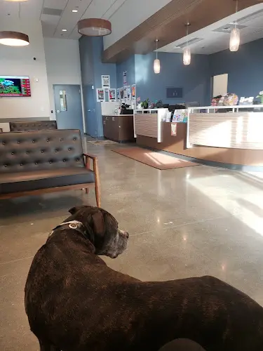 Pet vet Animal Medical Center of Seattle Kirkland