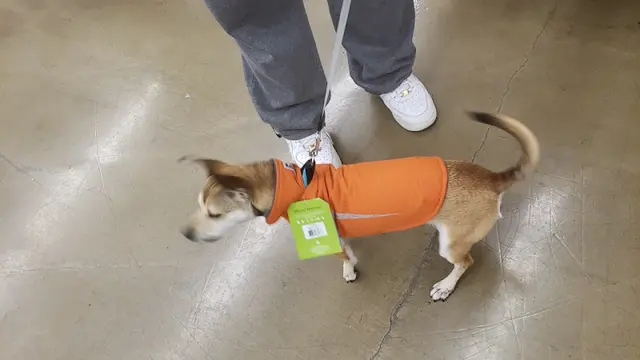Rescue & Shelter Pet Food Express Antioch