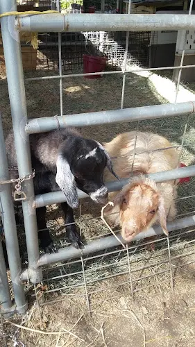 Rescue & Shelter Big Horse Feed & Mercantile Temecula