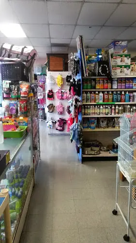 Dog Grooming Pets & Grooming South Gate